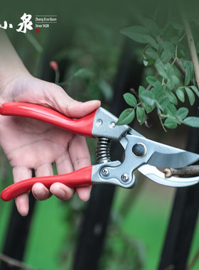 张小泉修枝剪刀ZH303修剪树枝花艺园林园艺绿化果树花剪子专用