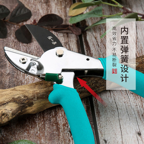 张小泉修剪树枝花艺园林绿化工具