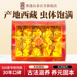 香港启泰虫草冬虫夏草干货23g西藏那曲正品 虫草自用煲汤官旗舰店