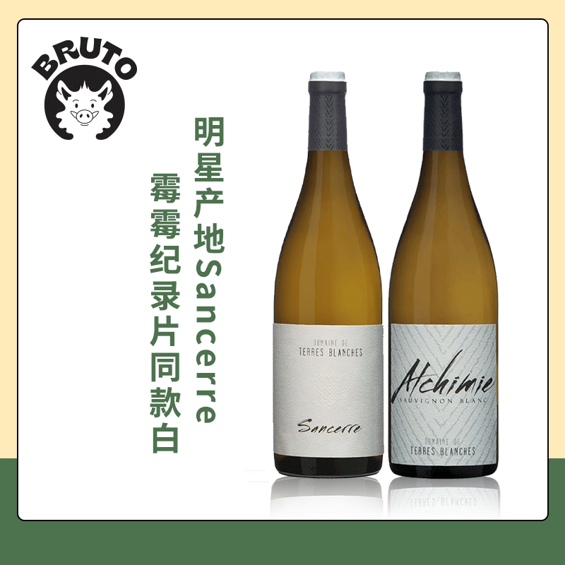 BRUTO少见的教皇新堡白 法国百年名庄Chateau Simian干白葡萄酒