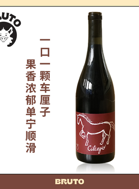 BRUTO 马年bi喝的小马干红 奇列娇红葡萄酒 活泼又迷人的小马驹