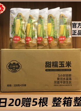 三胖蛋甜糯玉米228gx25根整箱整发真空锁鲜包装黄穗玉米苞米棒