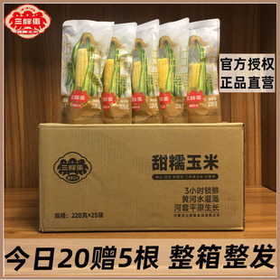 三胖蛋甜糯玉米228gx25根整箱整发真空锁鲜包装黄穗玉米苞米棒