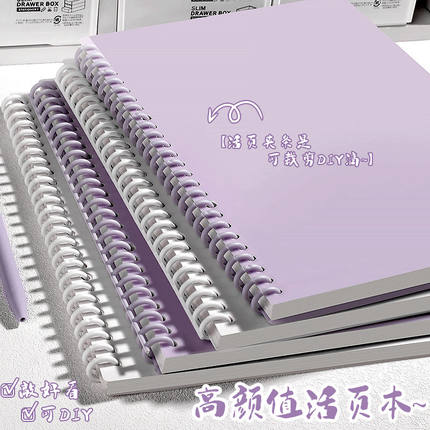 B5活页本笔记本子ins高颜值可拆卸线圈本学生记事本白纸本绘画大学生生初中生专用艾宾浩斯单词本网格思维图