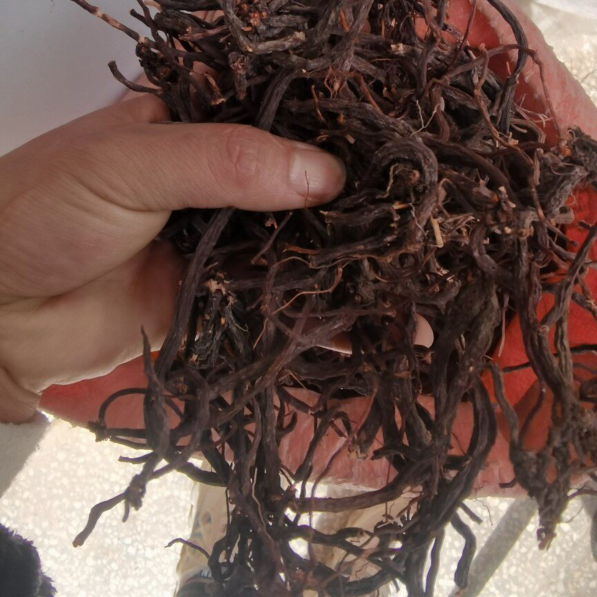 云南野生中药材小红参 滇紫参 小红药 小舒筋 正品包邮