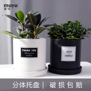 简约圆柱ins北欧风带托盘室内沙漠植物现代创意陶瓷多肉花盆批发