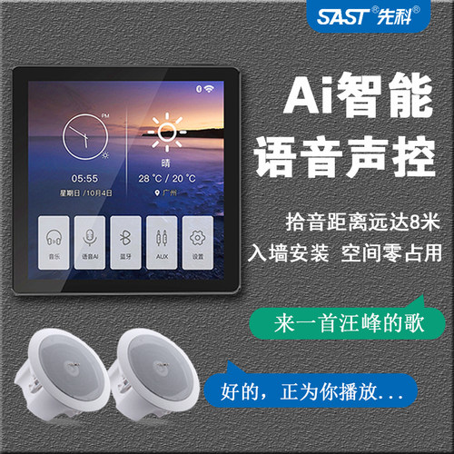 先科家庭背景音乐吸顶音响嵌入式