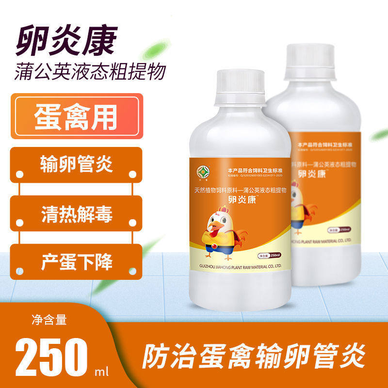 荣星正品禽用卵炎康蒲公英口服液防治禽输卵管炎产蛋下降腹膜炎