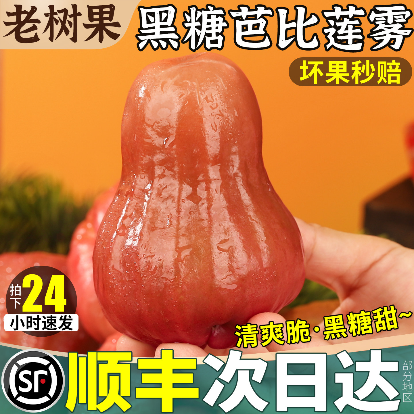 老树180g超大果!只卖甄选果王!