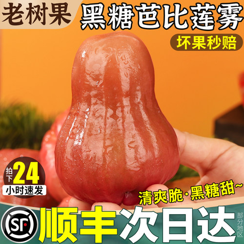 老树180g超大果！只卖甄选果王！