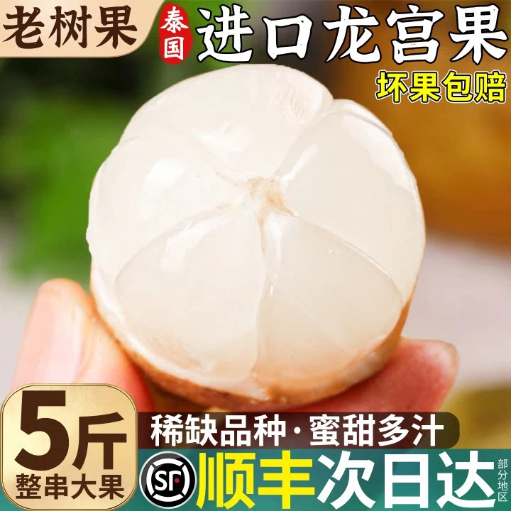 顺丰包邮泰国龙宫果新鲜水果5斤大果当季现摘进口热带罕见龙贡果