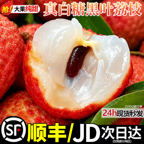 白糖黑叶荔枝老树大果超甜爆汁