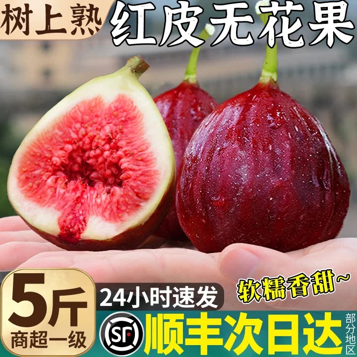 顺丰包邮红皮无花果鲜果5斤大果新鲜水果当季现摘青红皮糖包子甜