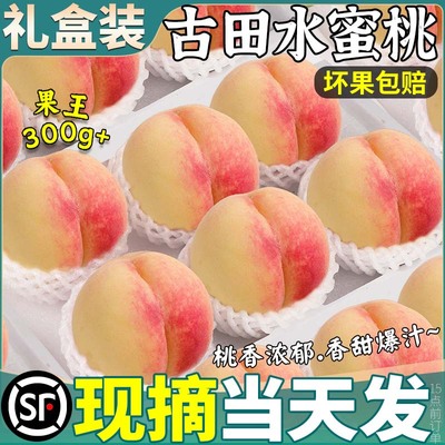 顺丰次日达丨一斤9.28丨送货上门
