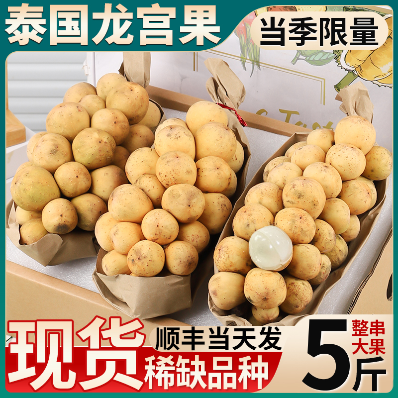 顺丰 5斤泰国进口龙宫果新鲜当季热带罕见水果公主龙贡果整箱包邮