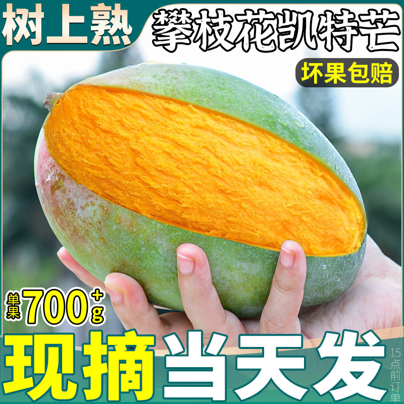 正宗攀枝花凯特芒新鲜10斤芒果当季水果四川甜心青皮澳芒现摘大果