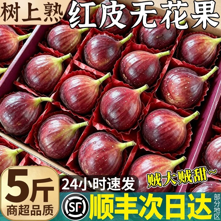 顺丰大果 红皮无花果鲜果当季现摘5斤糖包子新鲜孕妇水果整箱包邮