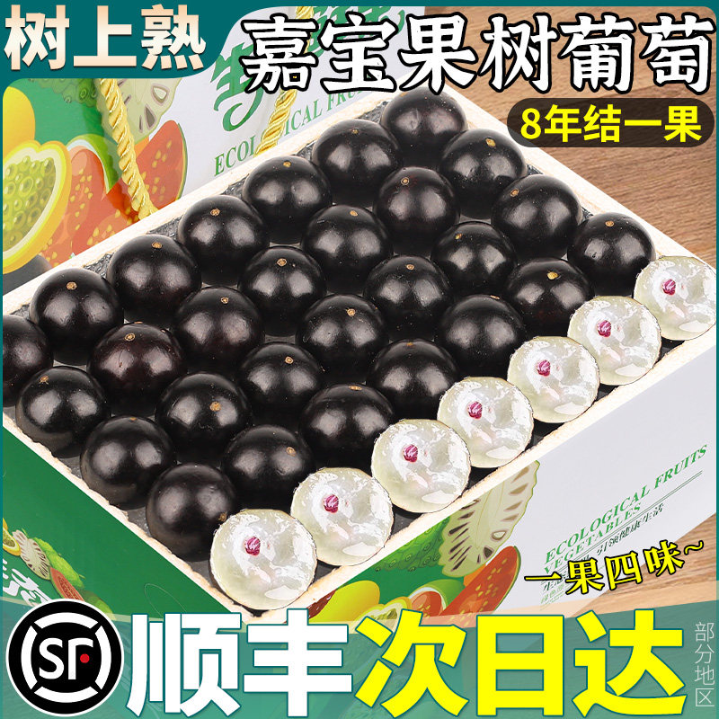 空运次日达丨嘉宝果高端礼盒装丨