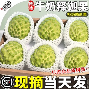 顺丰礼盒5斤凤梨释迦新鲜现摘水果大果应季林檎牟尼果整箱包邮甜9