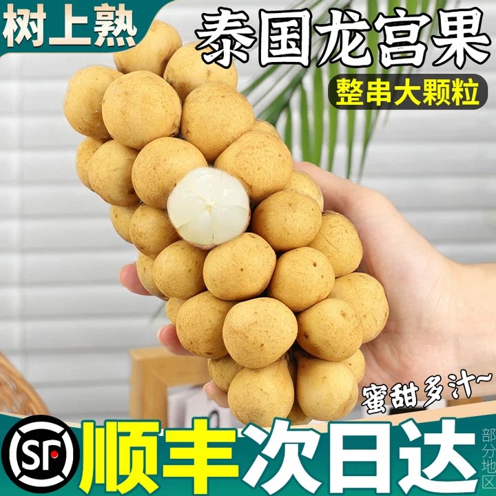 顺丰5斤泰国进口龙宫果新鲜水果当季热带龙贡果稀有罕见整箱包邮