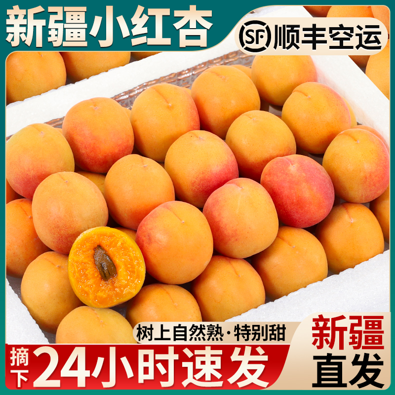空运次日达丨正宗新疆小红杏礼盒