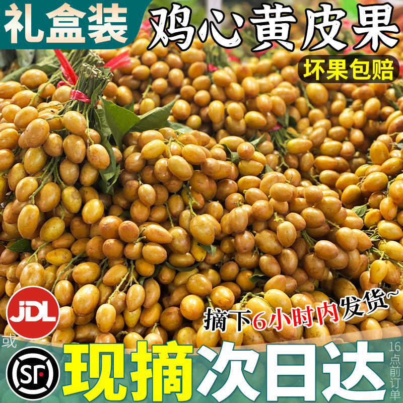 顺丰礼盒5斤冰糖鸡心黄皮果新鲜水果正宗广东黄弹子当季整箱包邮