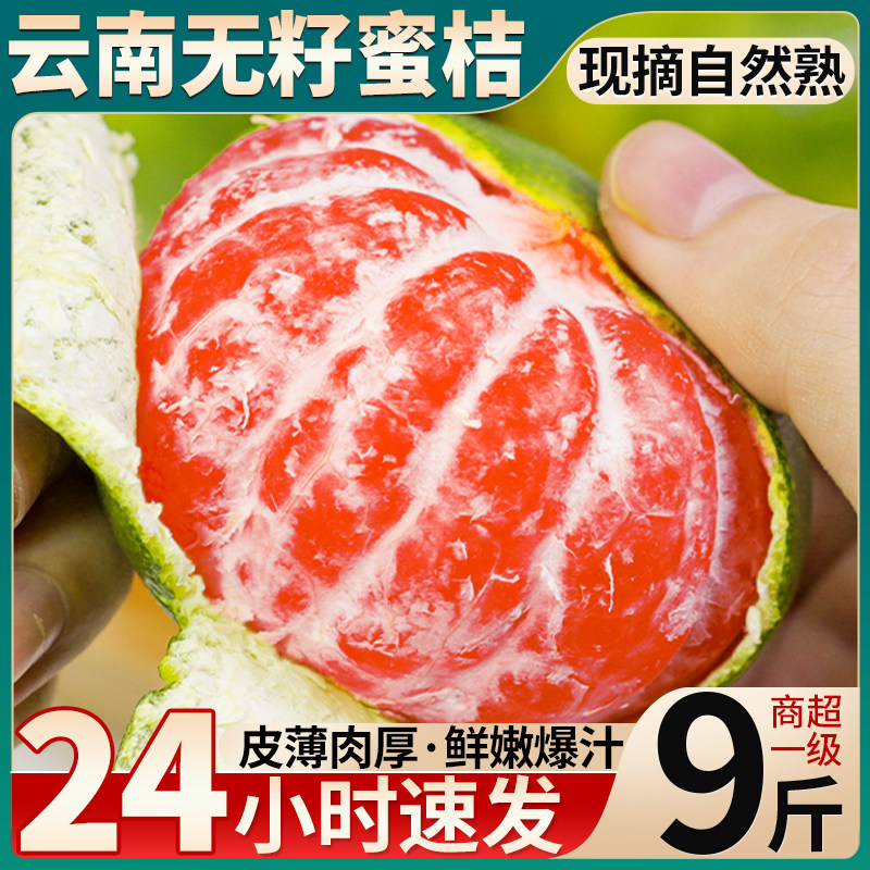 云南青皮蜜桔新鲜水果桔子10斤青皮橘子小青桔当季整箱包邮孕妇