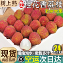 旗舰店9 包邮 空运5斤桂花香荔枝新鲜水果当季 整箱鲜果孕妇现摘妃子