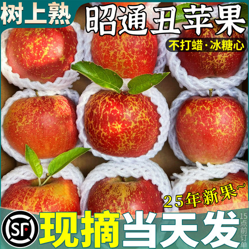冰糖心丨丑苹果丨当天发