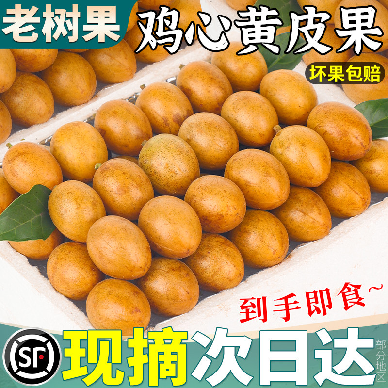 整串大颗粒丨8斤酸甜黄皮果