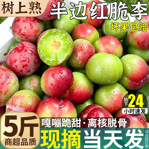 正宗|四川脱骨脆李子|半边红