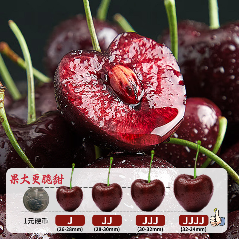 空运次日达丨精美礼盒丨智利进口