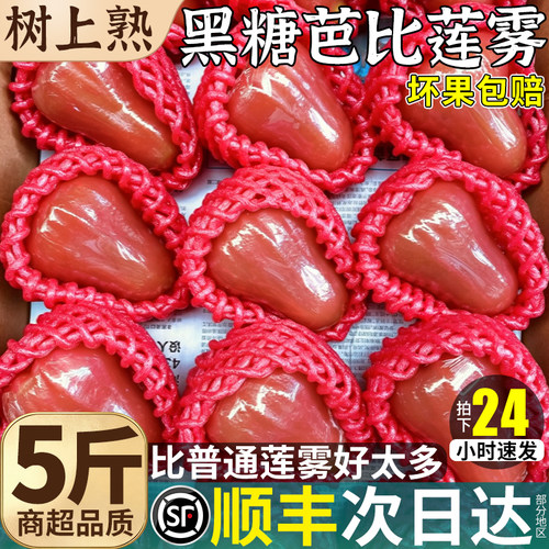 顺丰5斤黑糖芭比莲雾新鲜精品水果特级当季现摘整箱包邮特大果