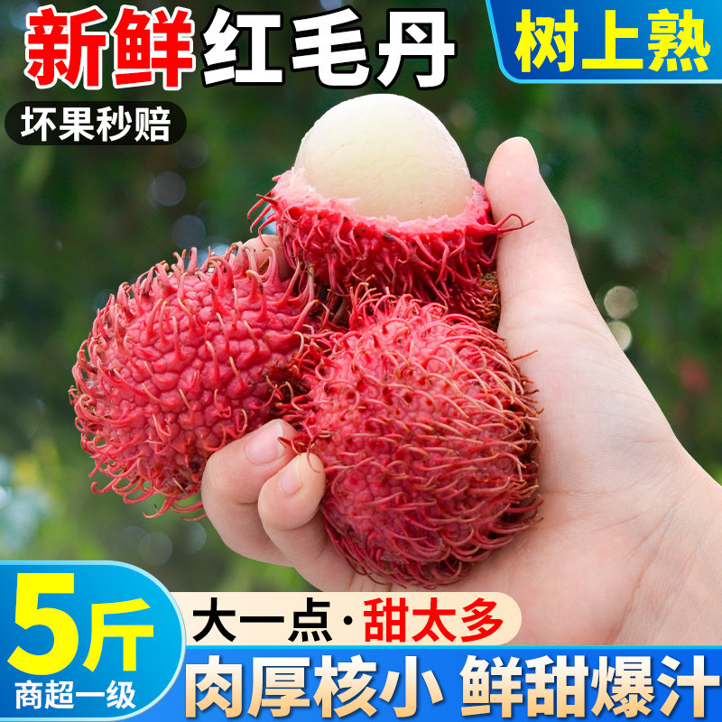 5斤海南红毛丹当季热带水果