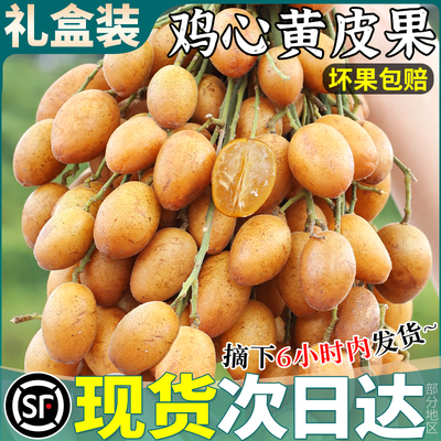顺丰速达丨酸甜回甘丨老树黄皮果