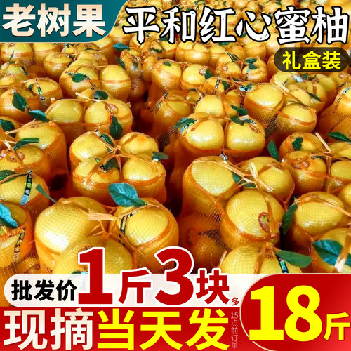 现货当天发丨平和红心柚精美礼盒