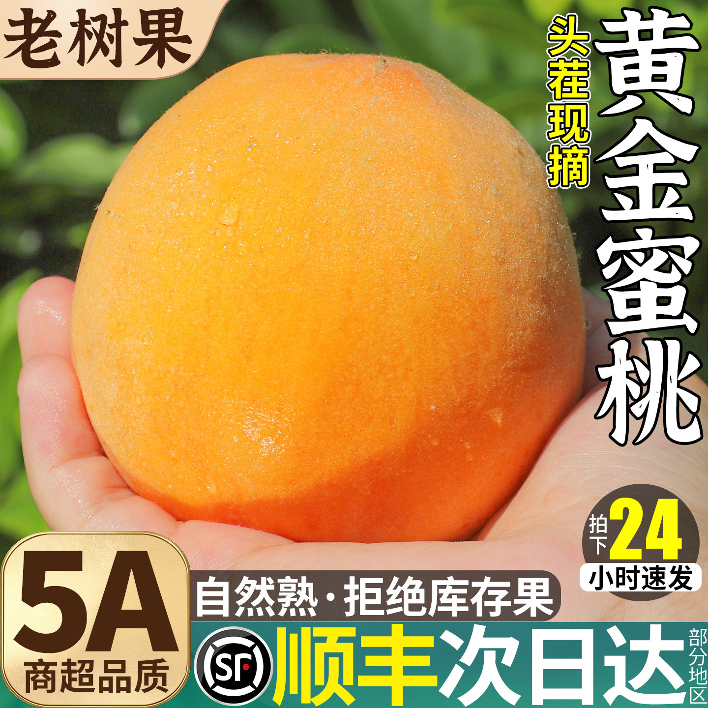 顺丰黄金蜜桃5斤桃子新鲜水果油毛整箱孕妇应当季大果蜜脆桃包邮9