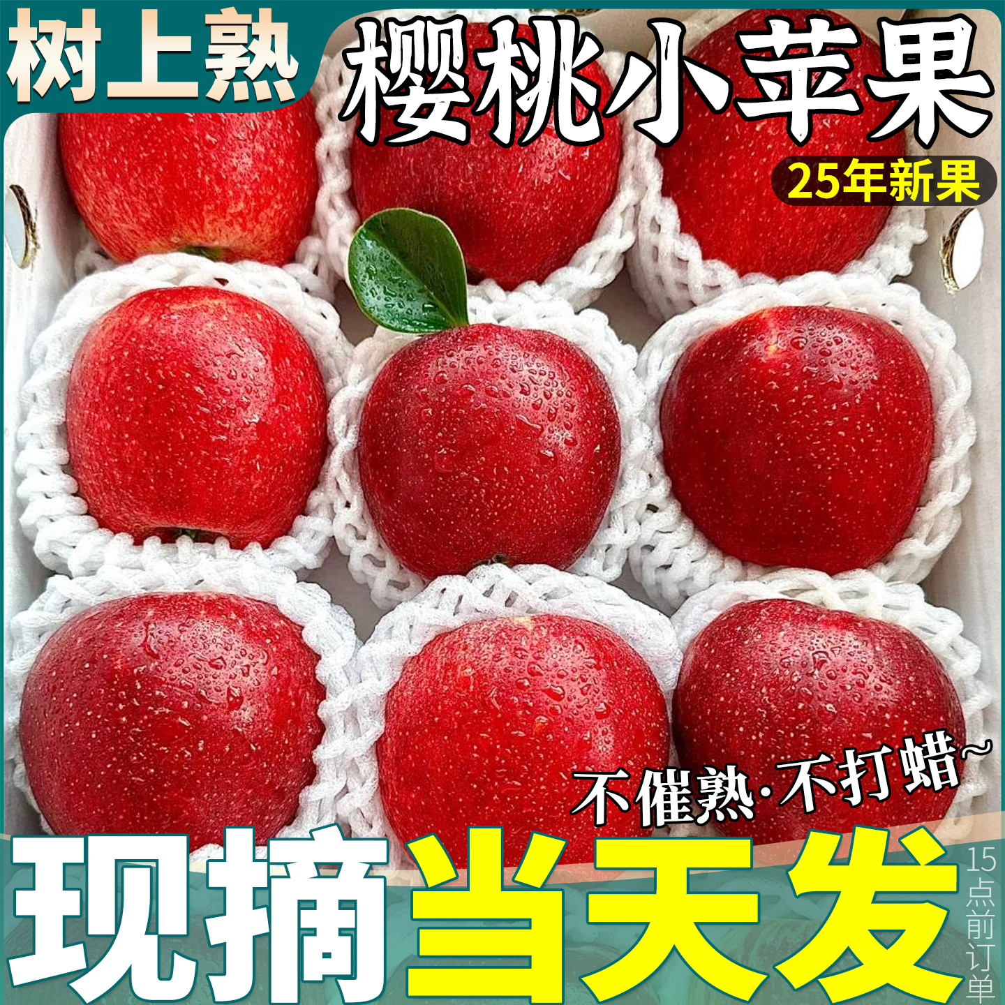 顺丰当天发丨云南樱桃小苹果5斤