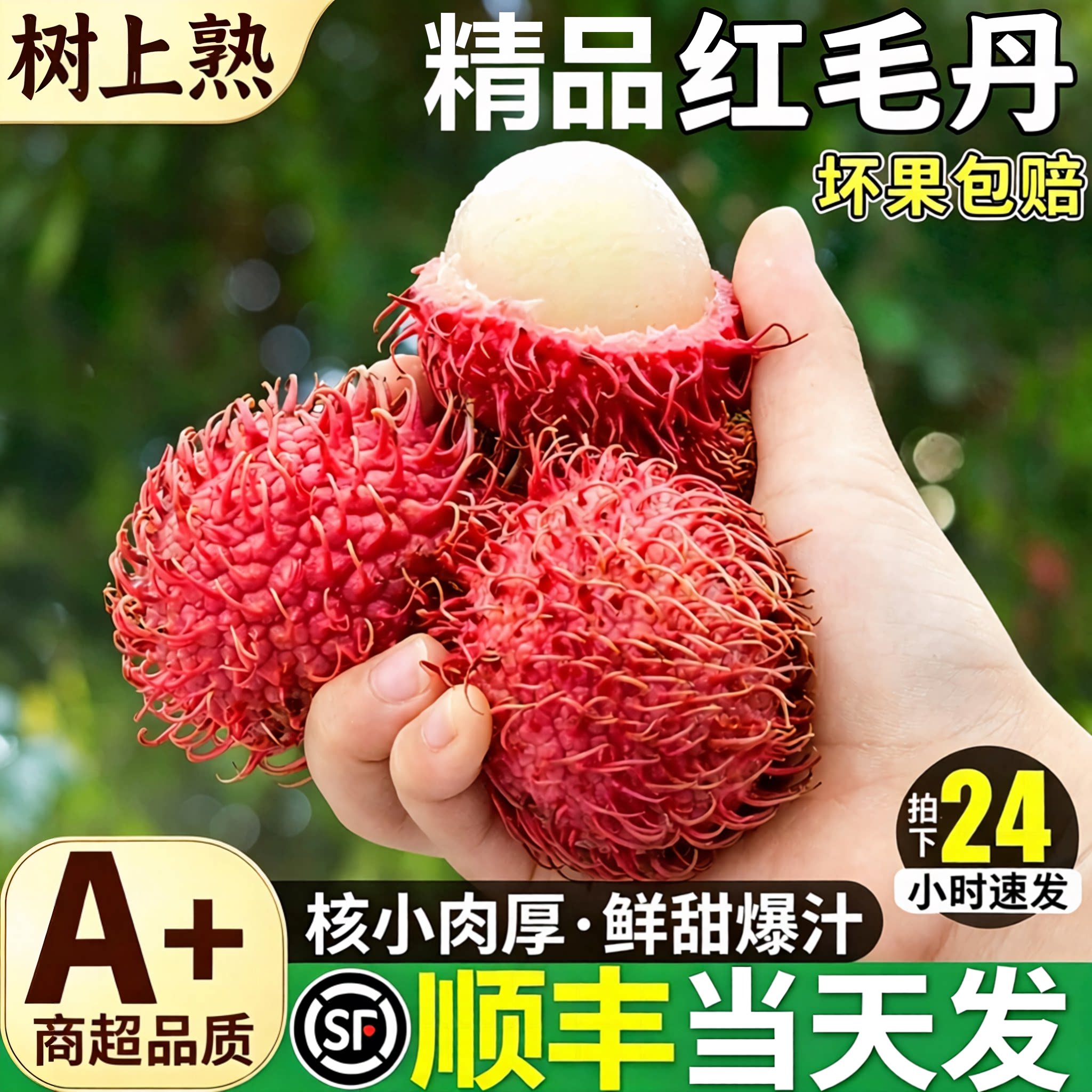 5斤海南红毛丹当季热带水果