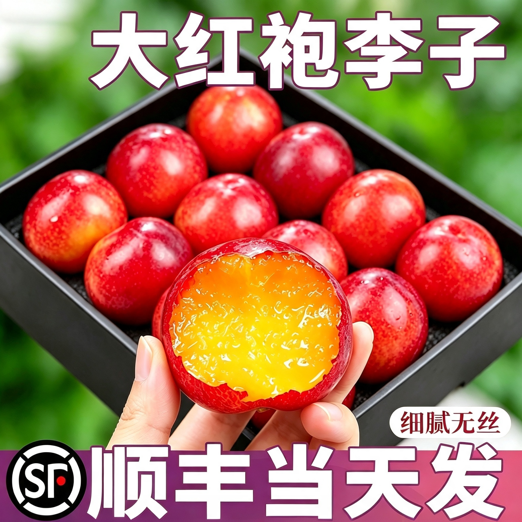 顺丰速发丨包甜大果5斤大红袍李