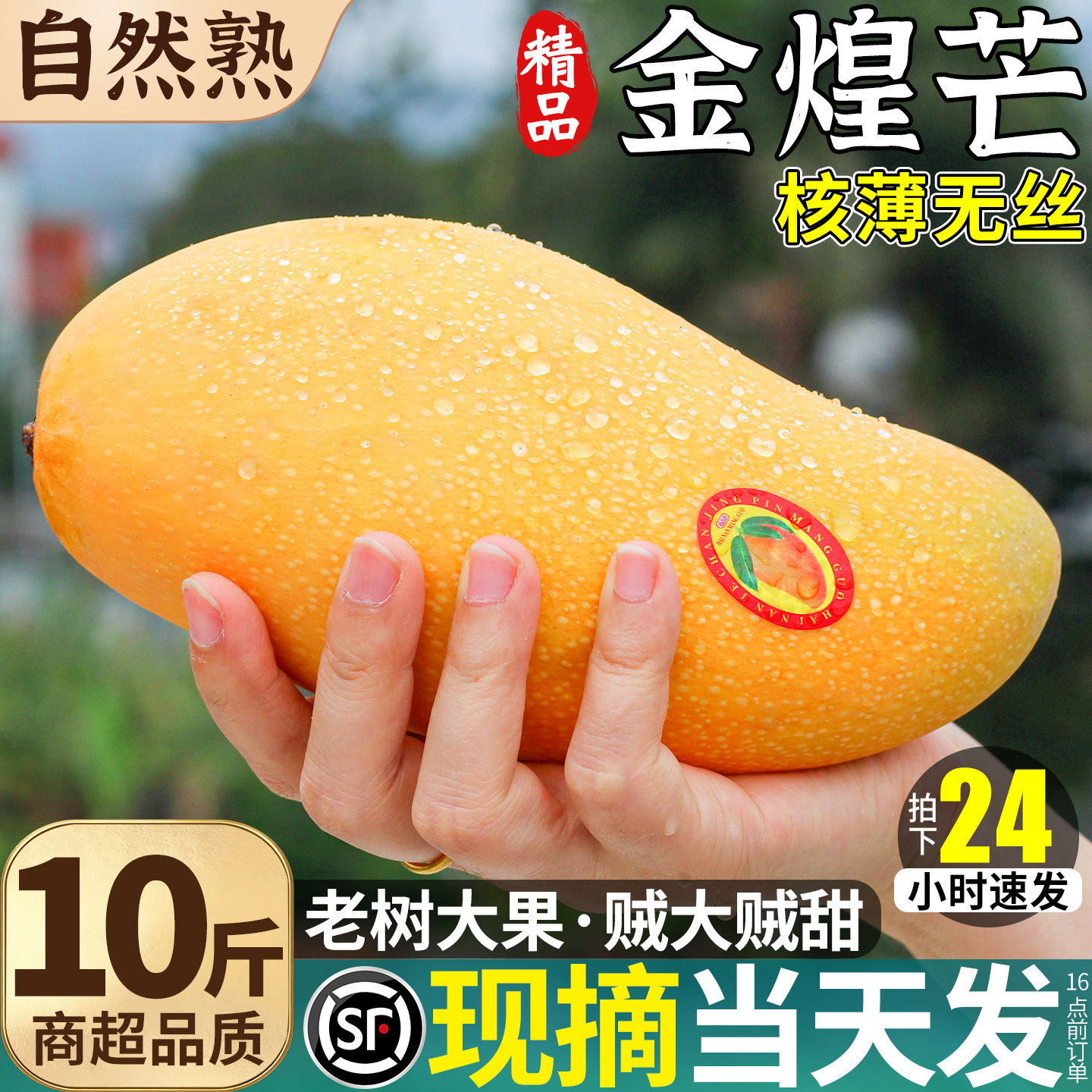 正宗海南金煌芒芒果新鲜大果9斤树上熟水仙芒当季水果整箱包邮10