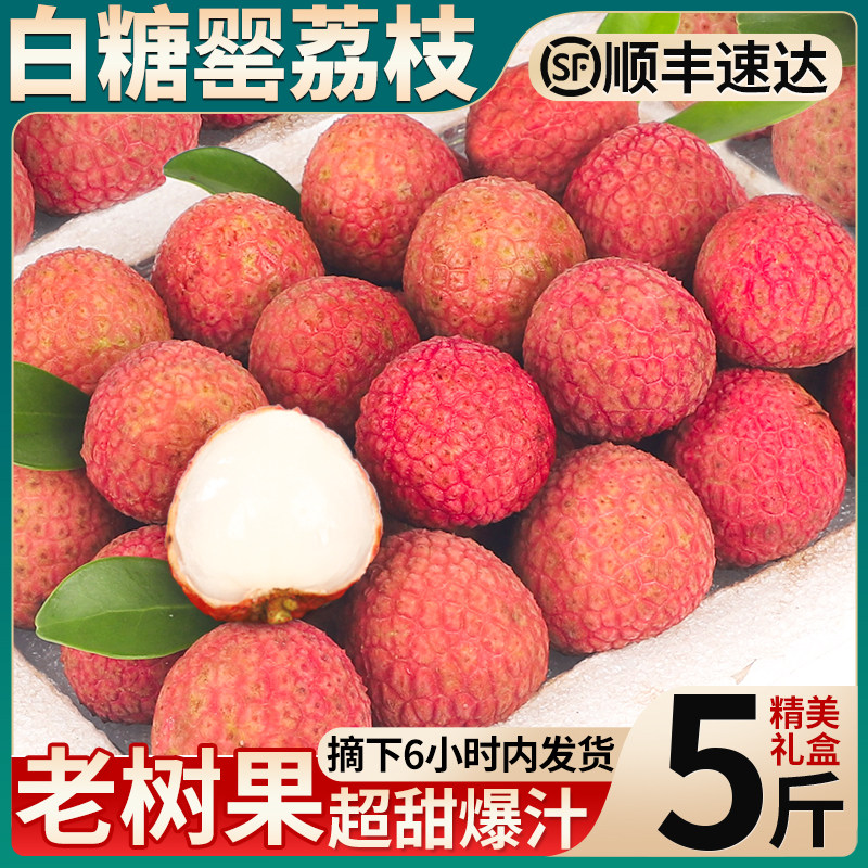 顺丰包邮|5斤礼盒装白糖罂荔枝