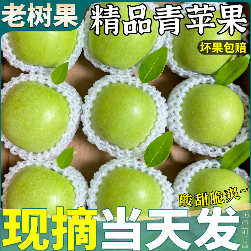 孕妇首选丨脆甜多汁丨5斤青苹果