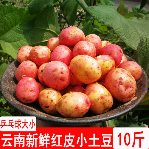 云南迷你粉糯新鲜现挖斤装土豆