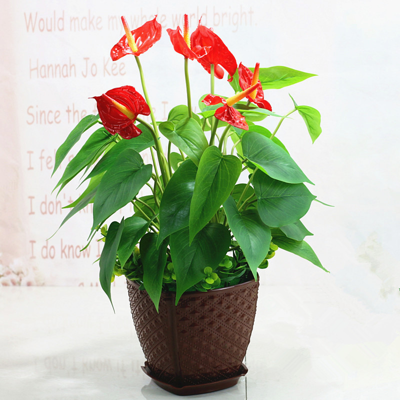 PU红掌仿真植物假花仿真花绿植花卉家居装饰塑料花客厅摆件假盆栽