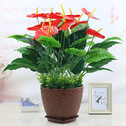假花仿真绿植盆栽红掌发财树装饰植物室内外客厅花塑料落地小盆景