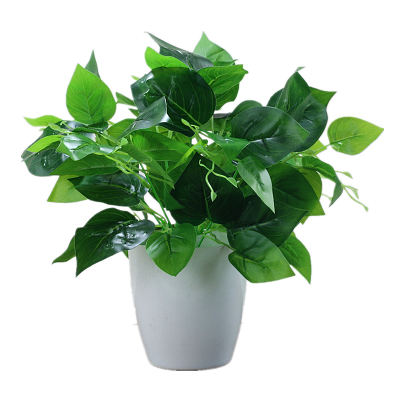 免浇水盆栽植物仿真植物绿萝