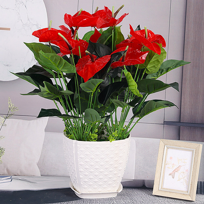假花仿真花客厅仿真红掌室内仿真植物装饰假盆栽塑料绿植盆景摆件