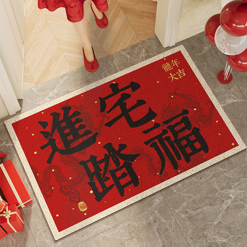 入户门地垫丝圈龙年高端进门玄关