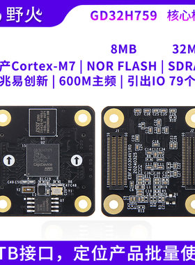 野火GD32核心板 GD32H759IMK6最小系统板 BTB接口国产MCU高性能M7